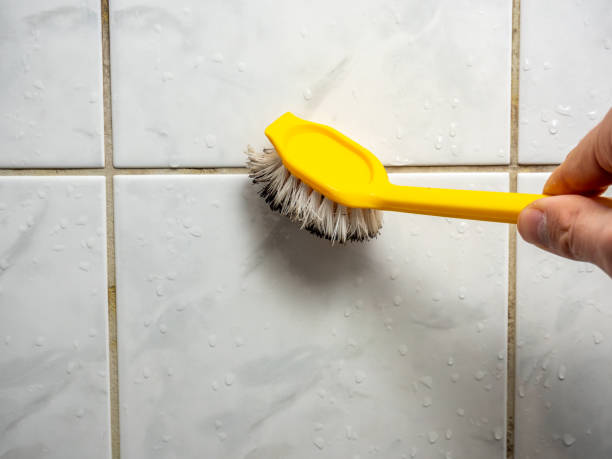 Best Mold Damage Repair  in Semmes, AL