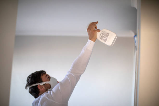 Best Mold Cleaning Services  in Semmes, AL